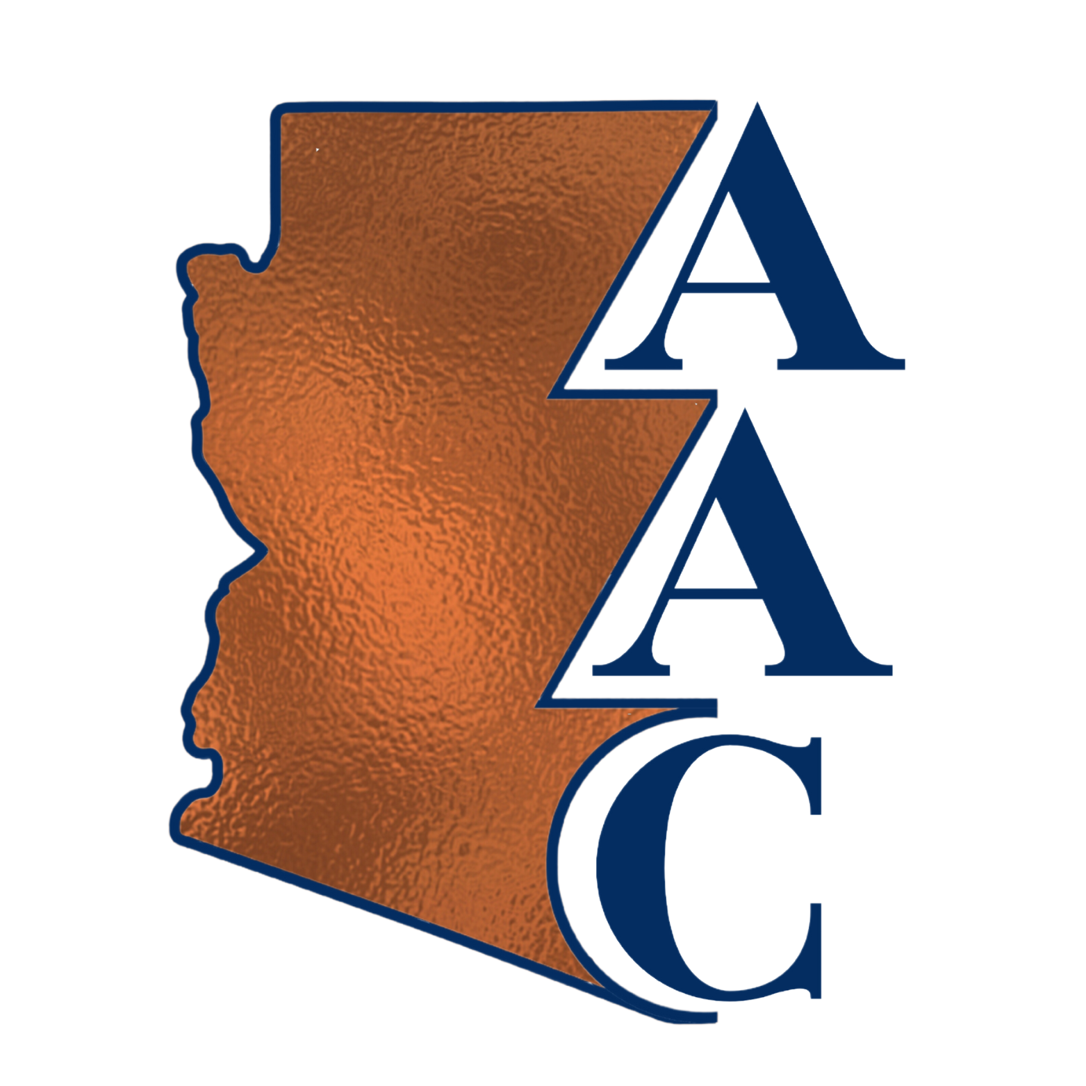 Strength From the Core: The Vital Connection Between Trunk Endurance and Low Back Pain in Veterans